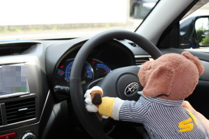 ココ太とふぃるクン、運転中