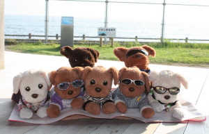 あわてて集合(^_^;)