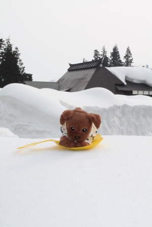 一面の雪景色