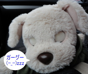 途中で寝ちゃった(^^ゞ