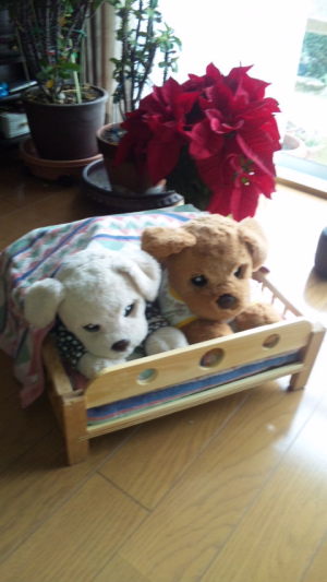 ダブルベッド完成(*^^)v ダブルベッド完成(*^^)v