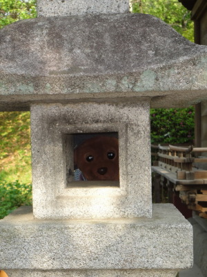 のぞいてみたよ